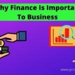 Why Finance Is Important To Business